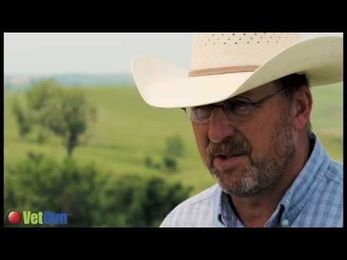 Simply Aim, Shoot, and Treat Cattle for Horn Flies & Lice