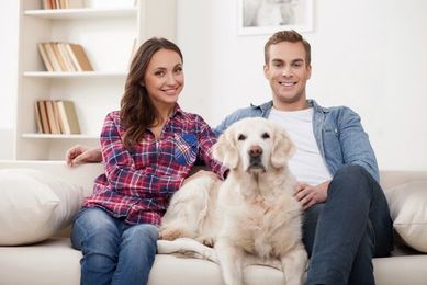 Tips for Renting with a Dog