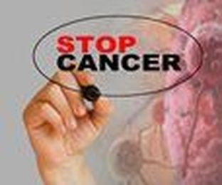 What Animals Teach Us About Cancer