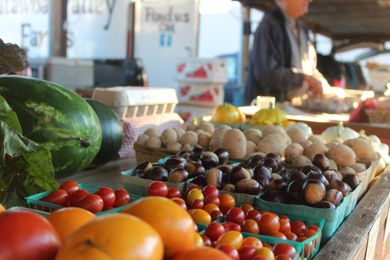 8 Tips for Farmers Market Newbies