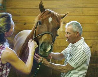 A doctor for animals of all shapes and sizes
