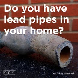 Find lead pipes in your home