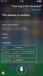 How to speak ‘Search Engine’