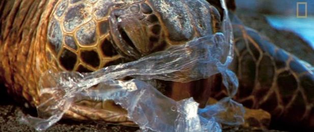 This is How it Feels to Be Trapped in a Plastic Bag