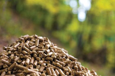Branching Out Into Wood Pellets