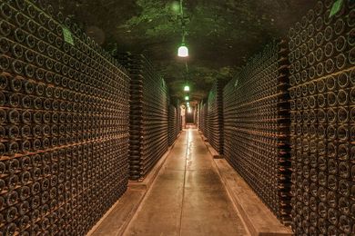 Our Guide to Storing Wine