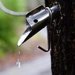 Would You Survive The Hunger Games?