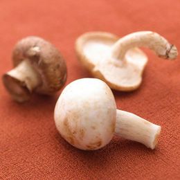 How to Clean Mushrooms