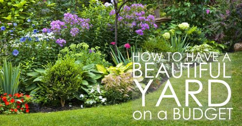 How to Have a Beautiful Yard on a Budget