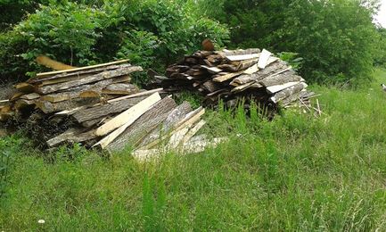 One Person’s Sawmill “Waste” is Another’s Opportunity