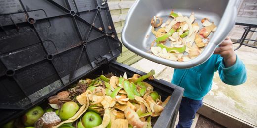 11 Ways You Can Support The Fight Against Food Waste
