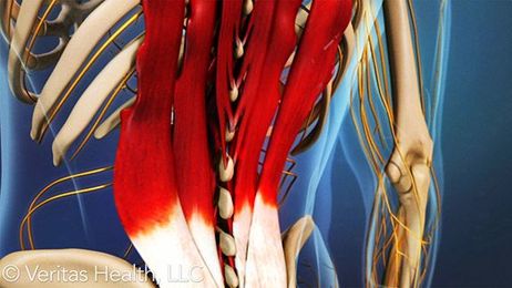 Getting the Right Massage for Low Back Pain