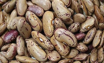 Are Pinto Beans Healthy?