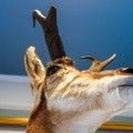 How I Earned My First Hunting Trophy