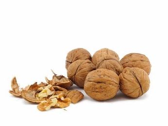 Walnuts May Alter Microbiome, Suppress Colon Tumors in Mice