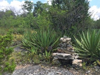 Building a Land Shrine, by Anna Walther