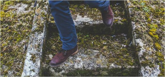 Replanting: Taking the next step