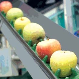 How Much Sanitation Is Enough for Environmental Hygiene?