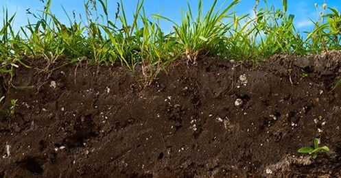 Soil and Your Foundation