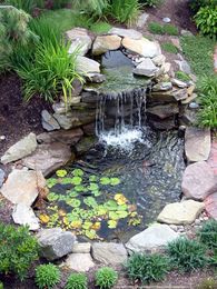 9 Tips for Building a Backyard Pond