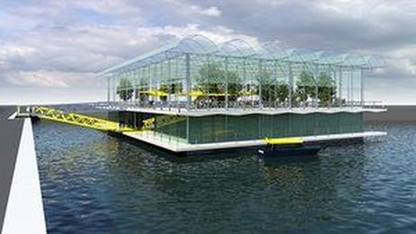 Do cows get seasick? Welcome to Rotterdam's floating dairy farm