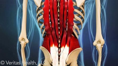 Is Massage Therapy Effective for Back Pain Relief?