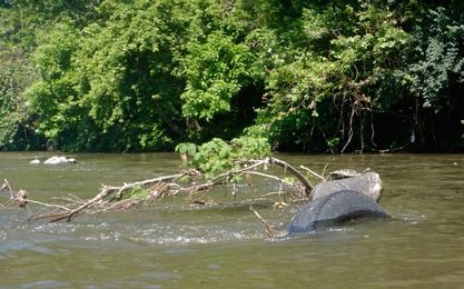 The Schuylkill River you don't know