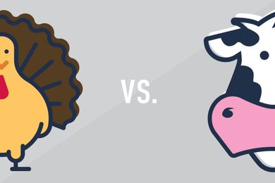 Is Ground Turkey Really That Much Better For You?