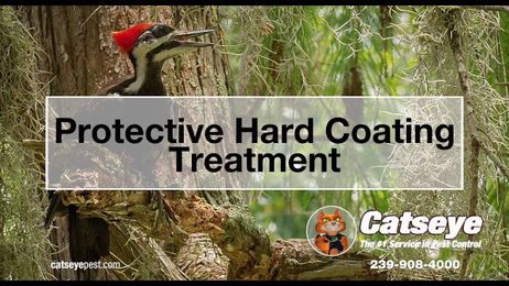 Catseye's Hard Coating Service: How It Works