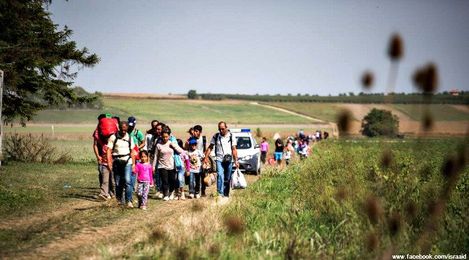 What I Learned When I Volunteered in a German Refugee Shelter
