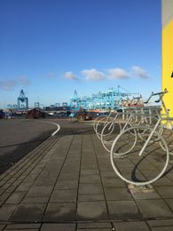 Why do we need ports? A simple question that even ports too often ignore