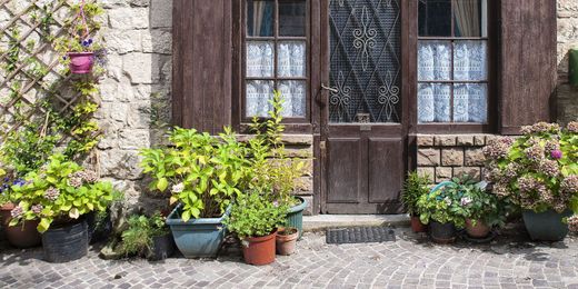 4 Pretty Front Door Plants You Can't Kill If You Tried