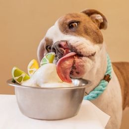 How to get your dog free ice cream