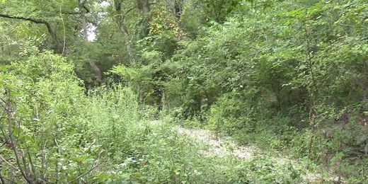 See if you can spot the armed camouflaged Marine watching you