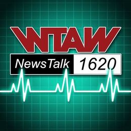 Why traffic noise is bad and snack buddies are good