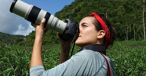 How to Get the Right Exposure for Photographing Birds
