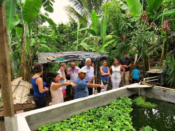 Tilapia Farming: How the Co-op at LCA Is Changing Employees Lives