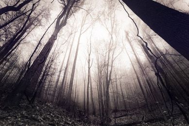 5 Tips for Better Nature Photography