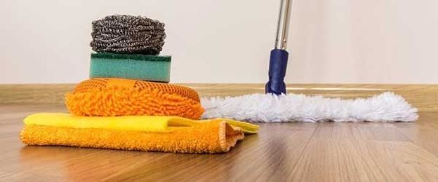 Can you make a million bucks in the house cleaning business?