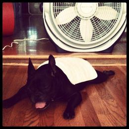 What Are The Most Common Air Conditioning Problems?