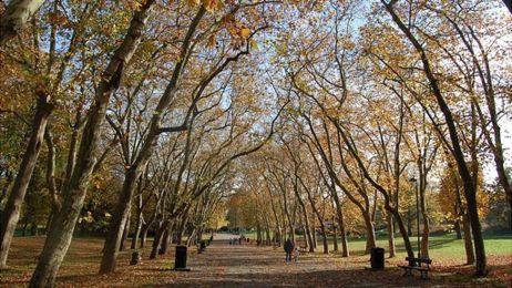 Outdoor learning 'boosts development'
