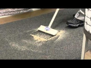 Spot Cleaning with the HOST Zapper brush