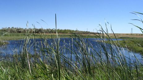 Coal turning to farm practices to enhance reclamation