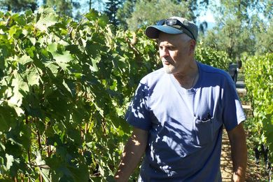 Farm Confessional: Secrets of a Supermarket Produce Buyer