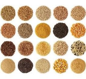 The Ultimate Whole Grain Cooking Guide
