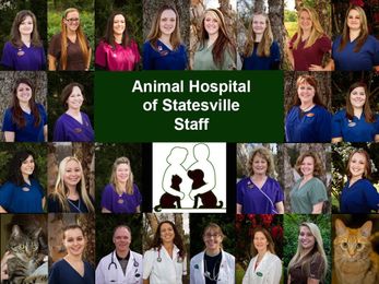 So Has Veterinary Care!