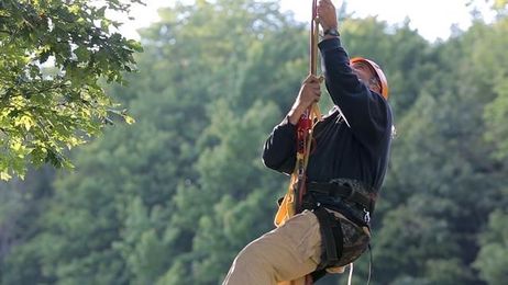 Tree Climbing: Learn the Lingo