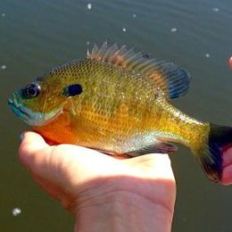 How To Get Started Fishing in 10 Simple Steps