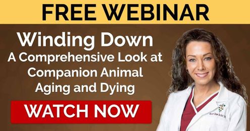 Join Dr. Becker in a 2-Part Webinar About Your Pets