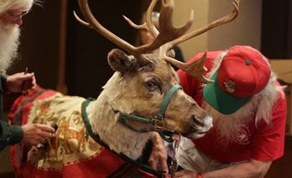 10 Do's and Don'ts for Your First Santa Convention